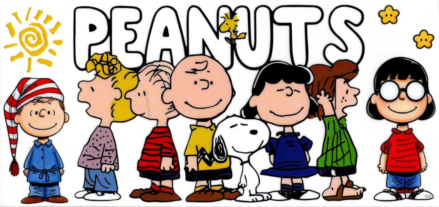 Peanuts Charlie Brown Gang