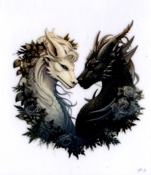 White and Gray Dragons