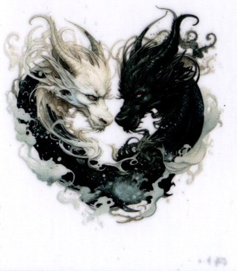Black and White Dragons