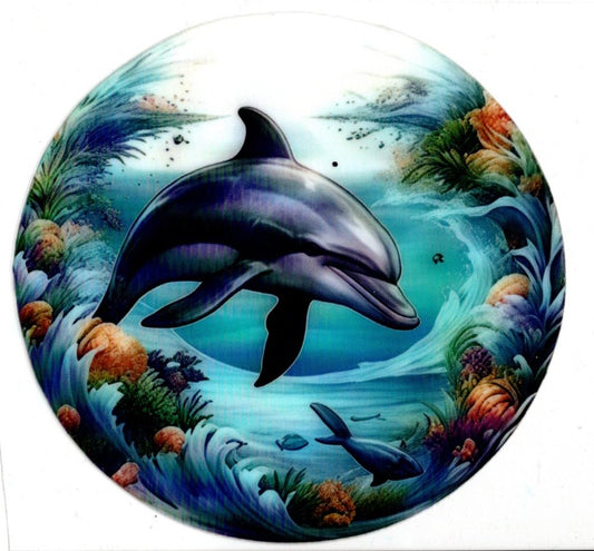 Dolphin