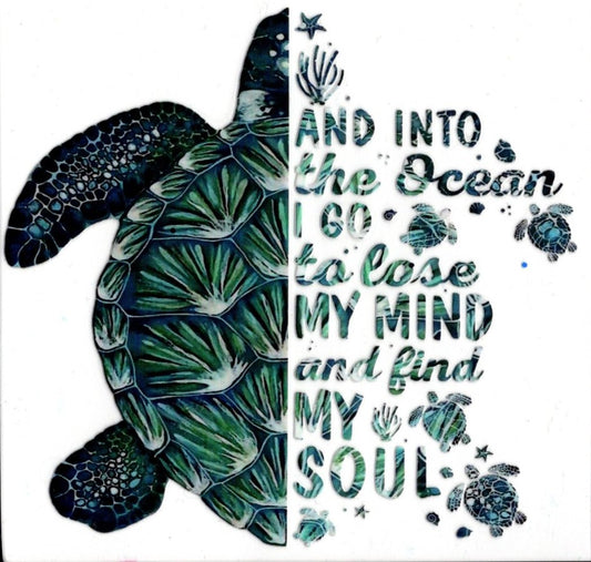 And Into The Ocean I Go...Turtle