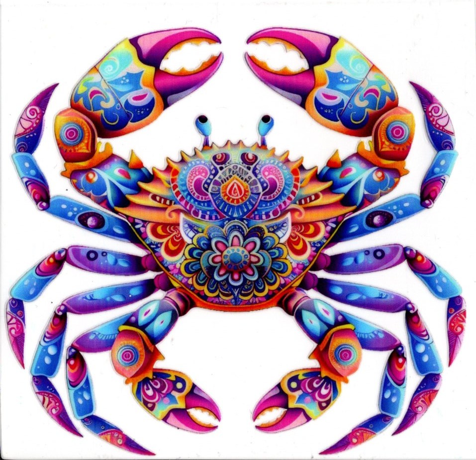 Colorful Patterned Crab