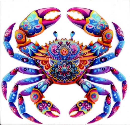 Colorful Patterned Crab