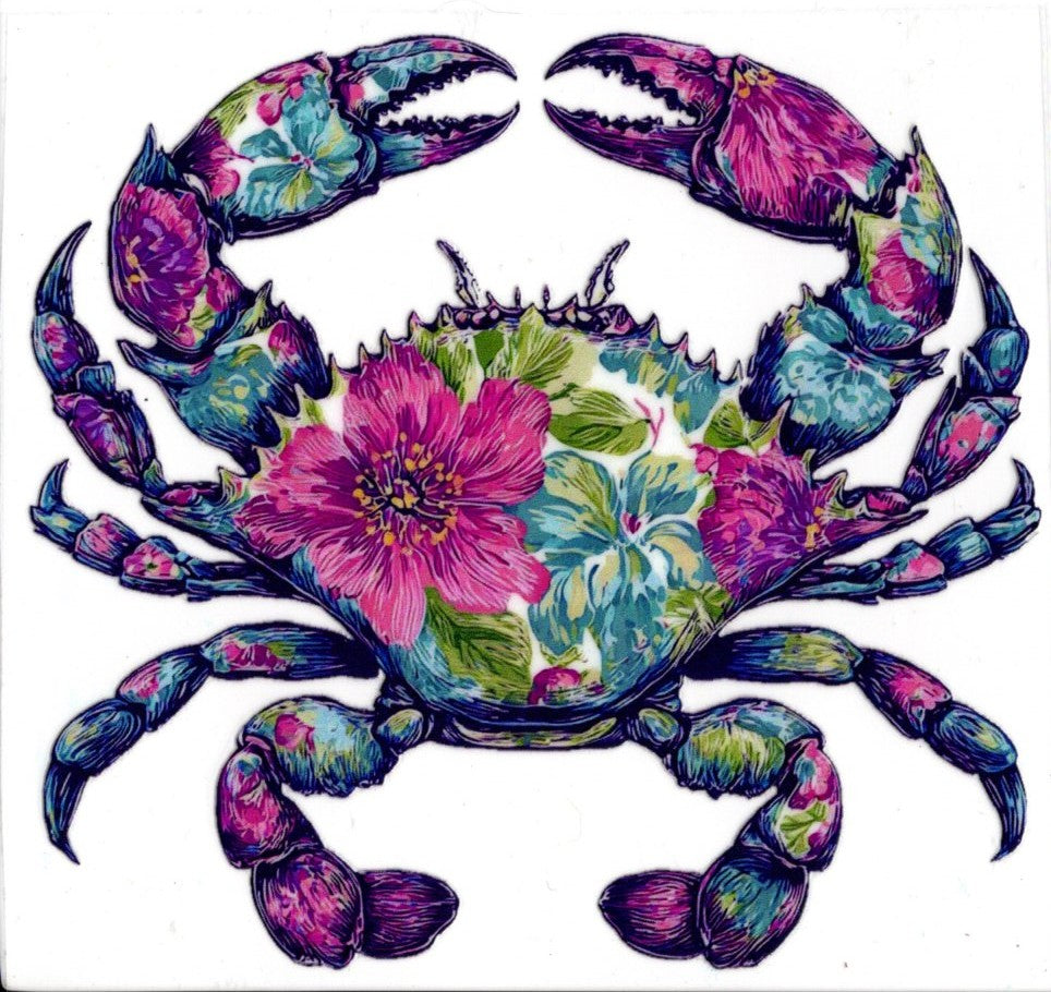 Colorful Crab