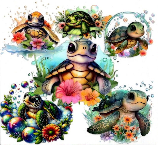 Turtles