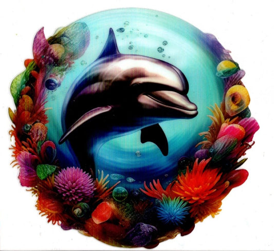 Dolphin with Coral