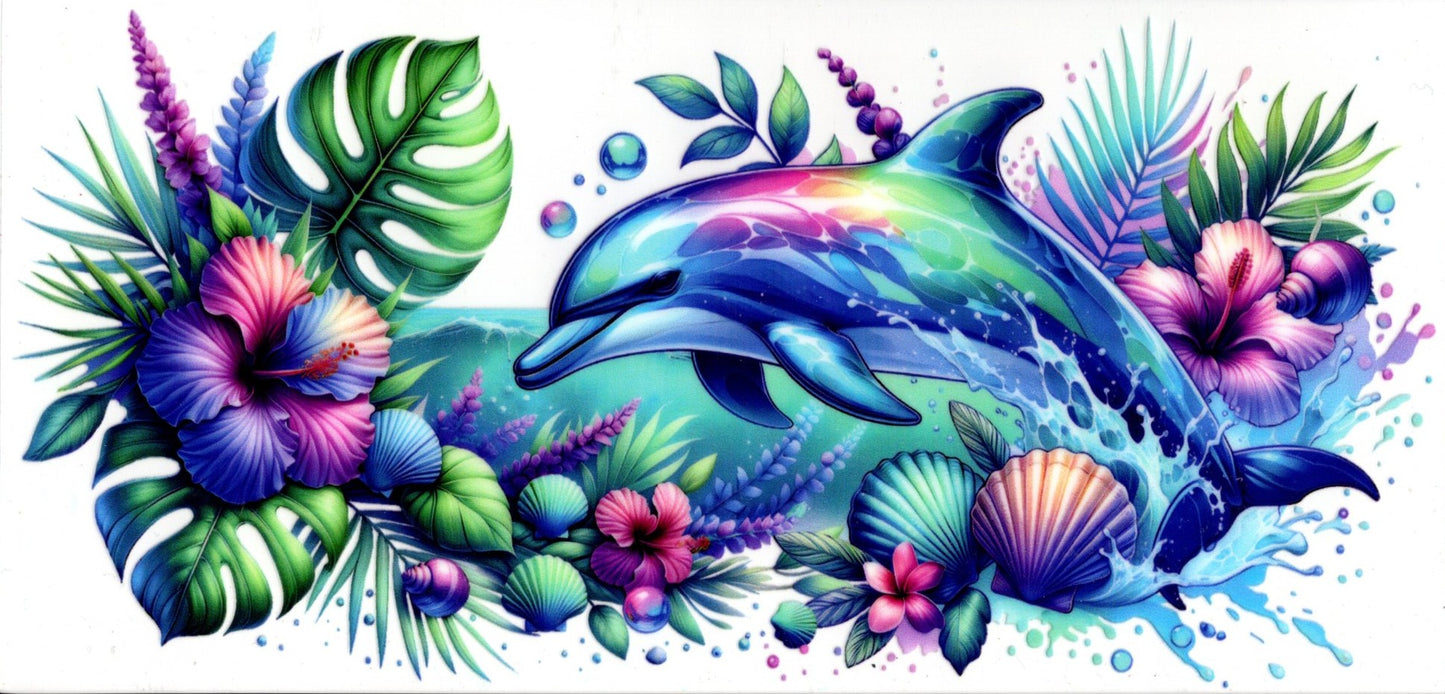 Dolphin