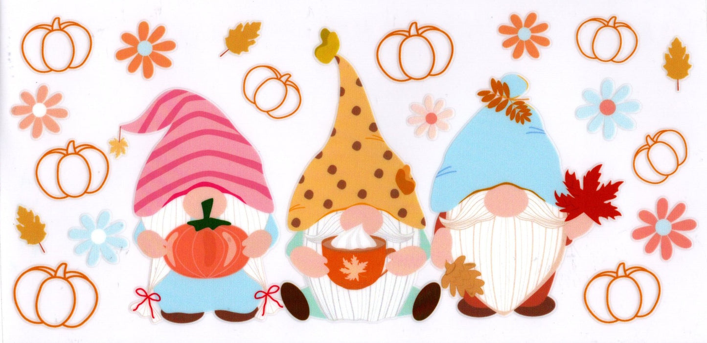 Fall Gnomes