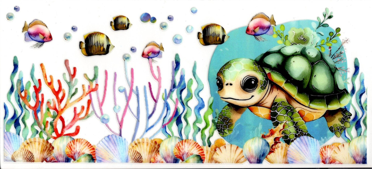 Turtles Fish and Coral