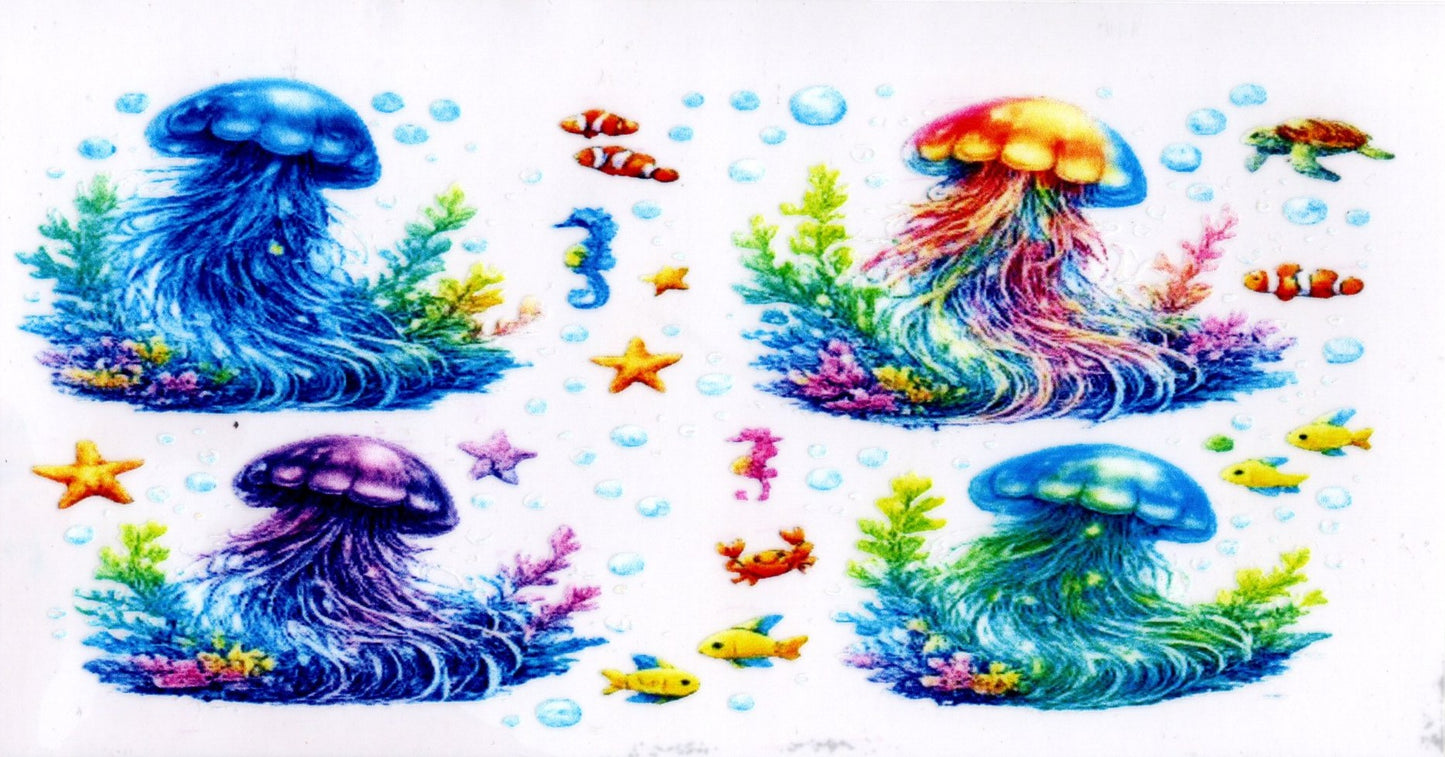 Jellyfish
