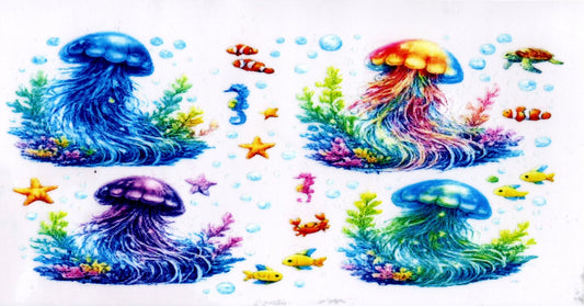 Jellyfish