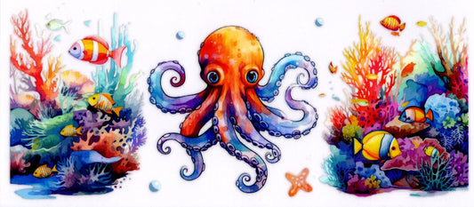 Octopus and Ocean Life