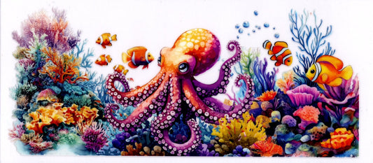Octopus In Coral