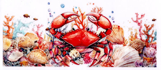 Red Crab In Coral With Seashells