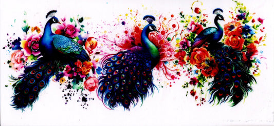 Peacock