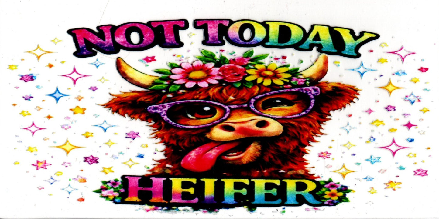 Not Today Heifer