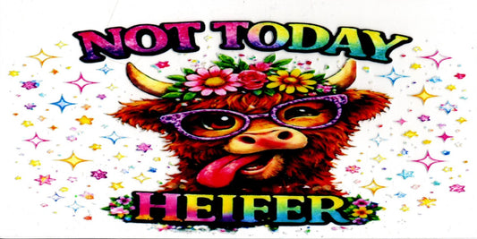 Not Today Heifer