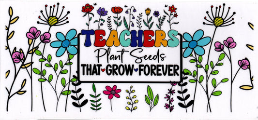Teachers Plant Seeds