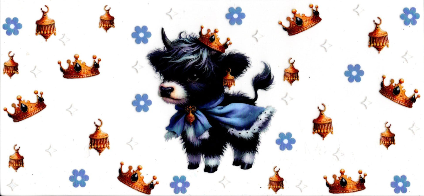 Prince Highland Cow