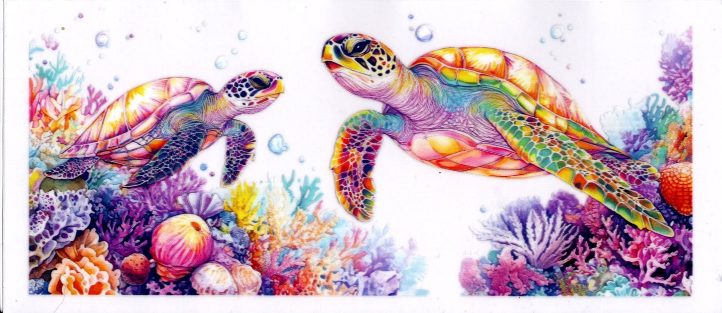 2 Turtles