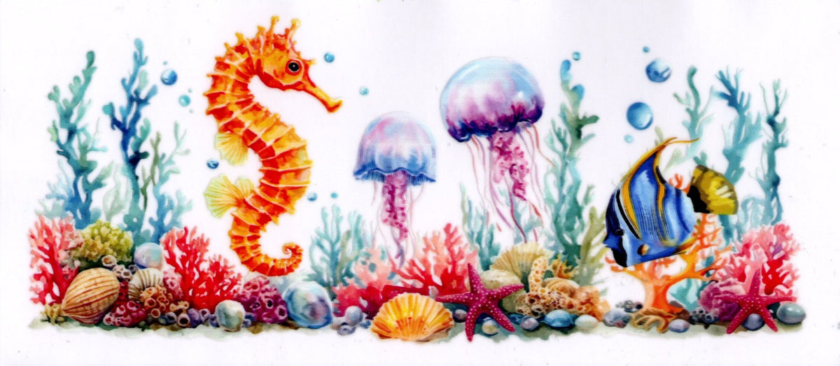 Seahorse Jellyfish Fish
