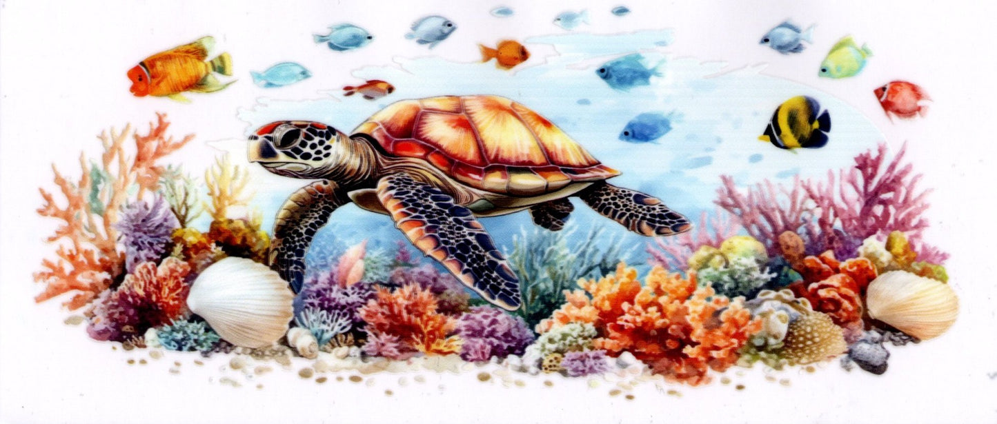 Turtle Fish Seashells Coral