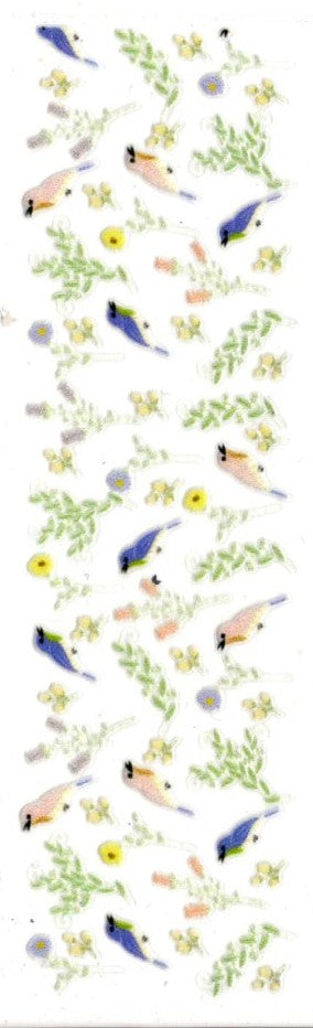 Birds