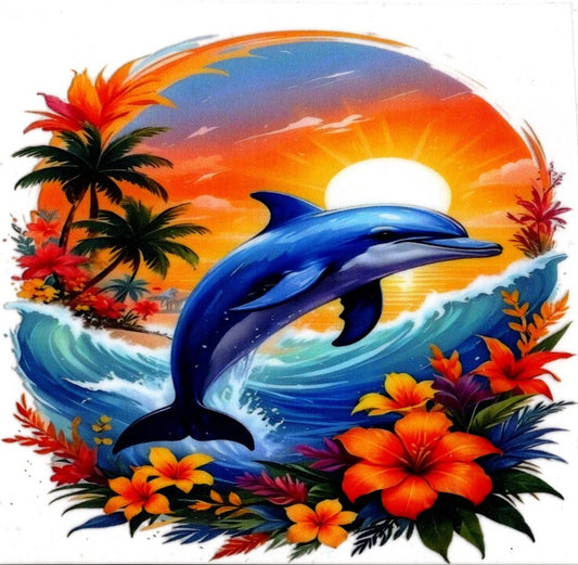 Dolphin