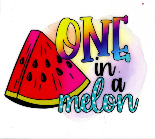 One In A Melon