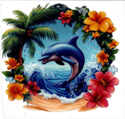 Dolphin