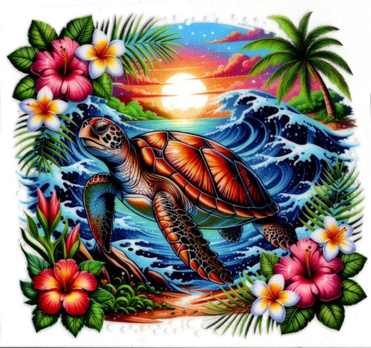 Turtle Sunset