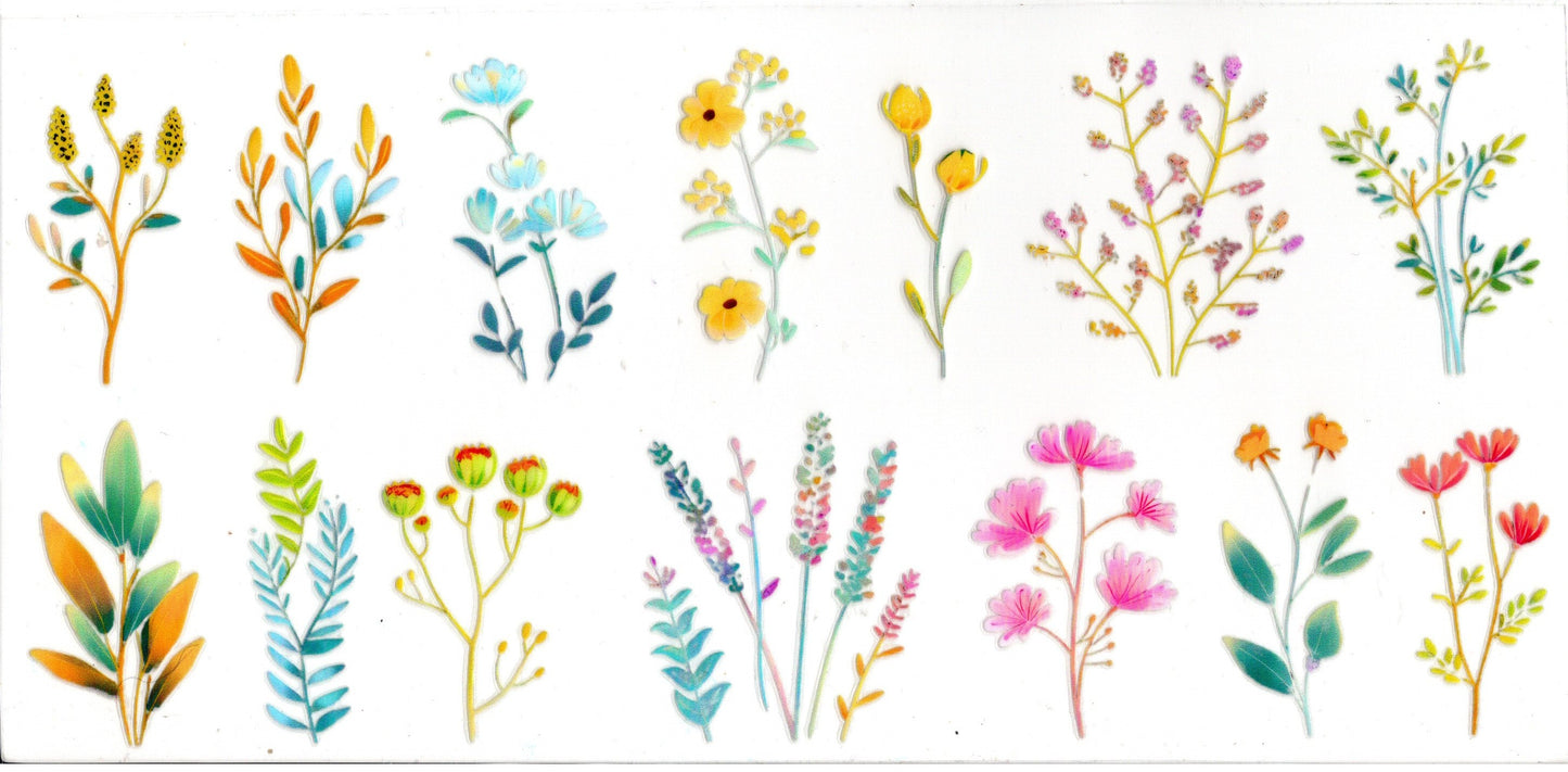 Wild Flowers