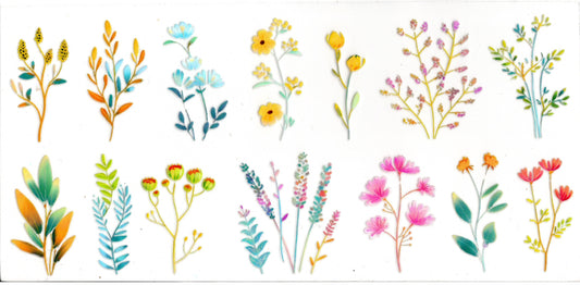 Wild Flowers