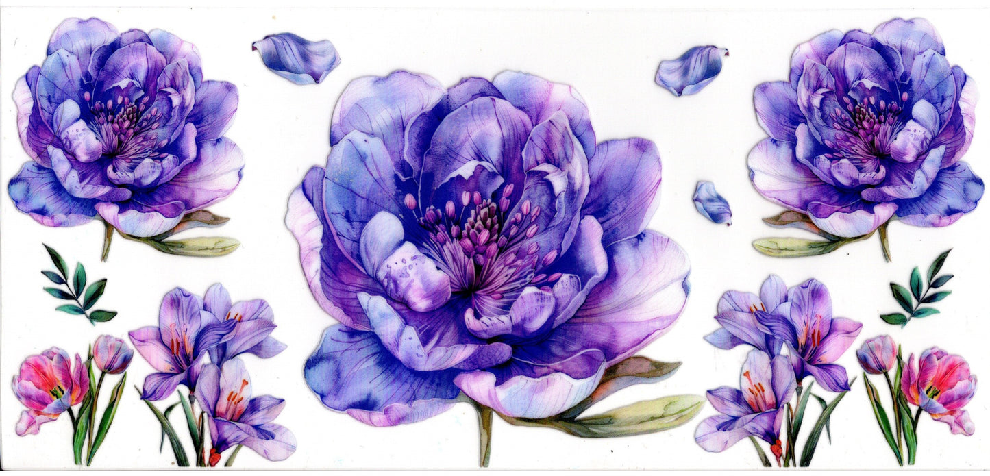 Purple Flowers