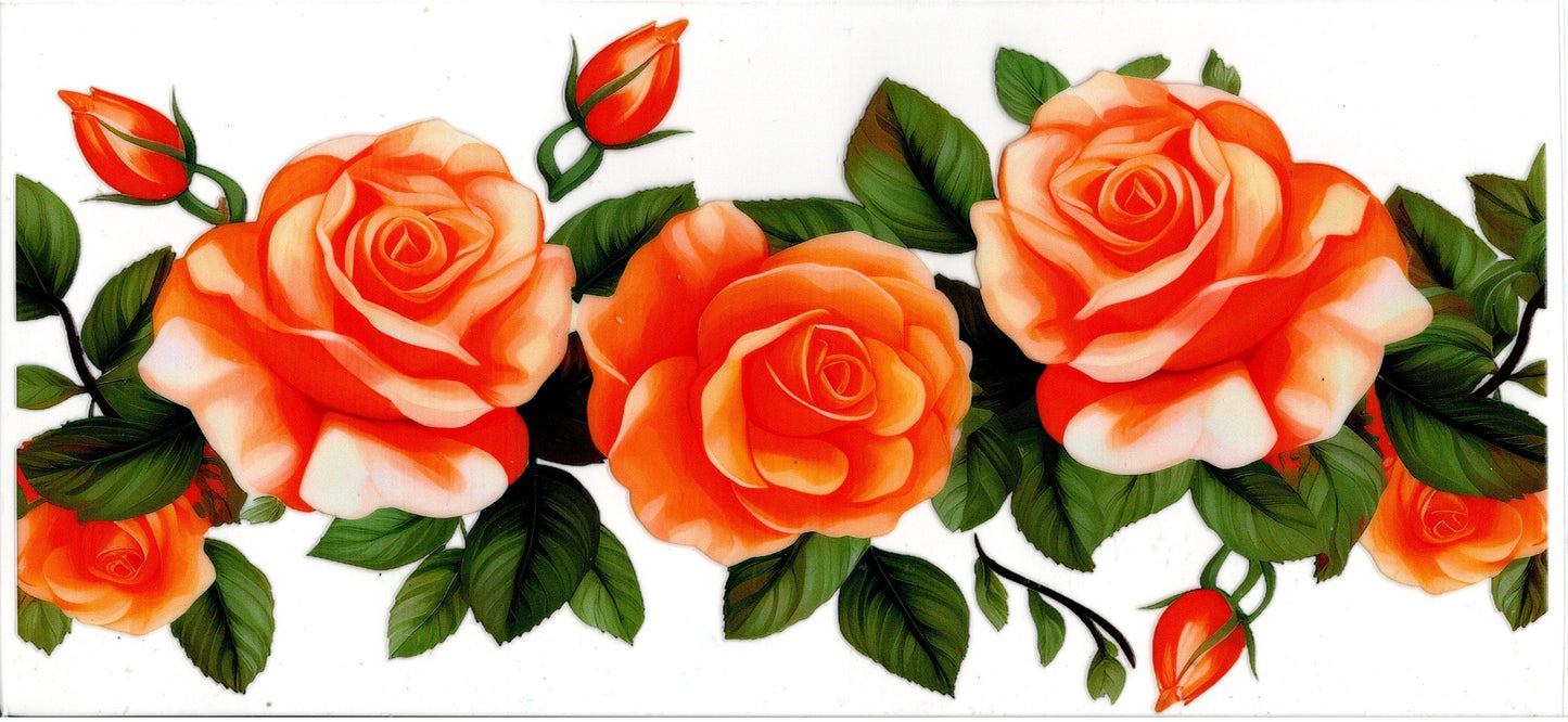 Orange Roses