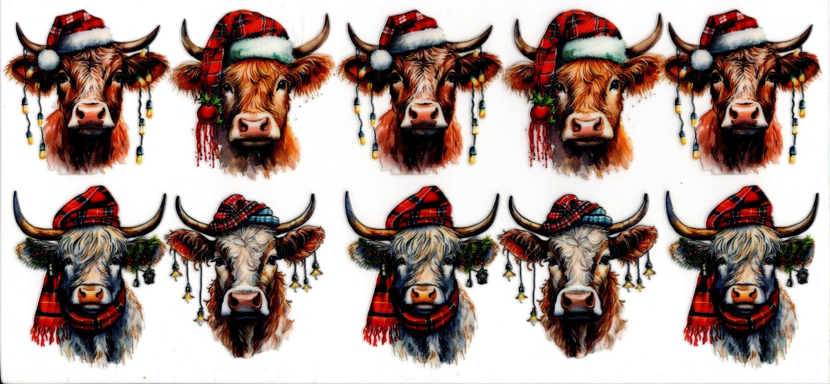 HIghland Cows Christmas Hats