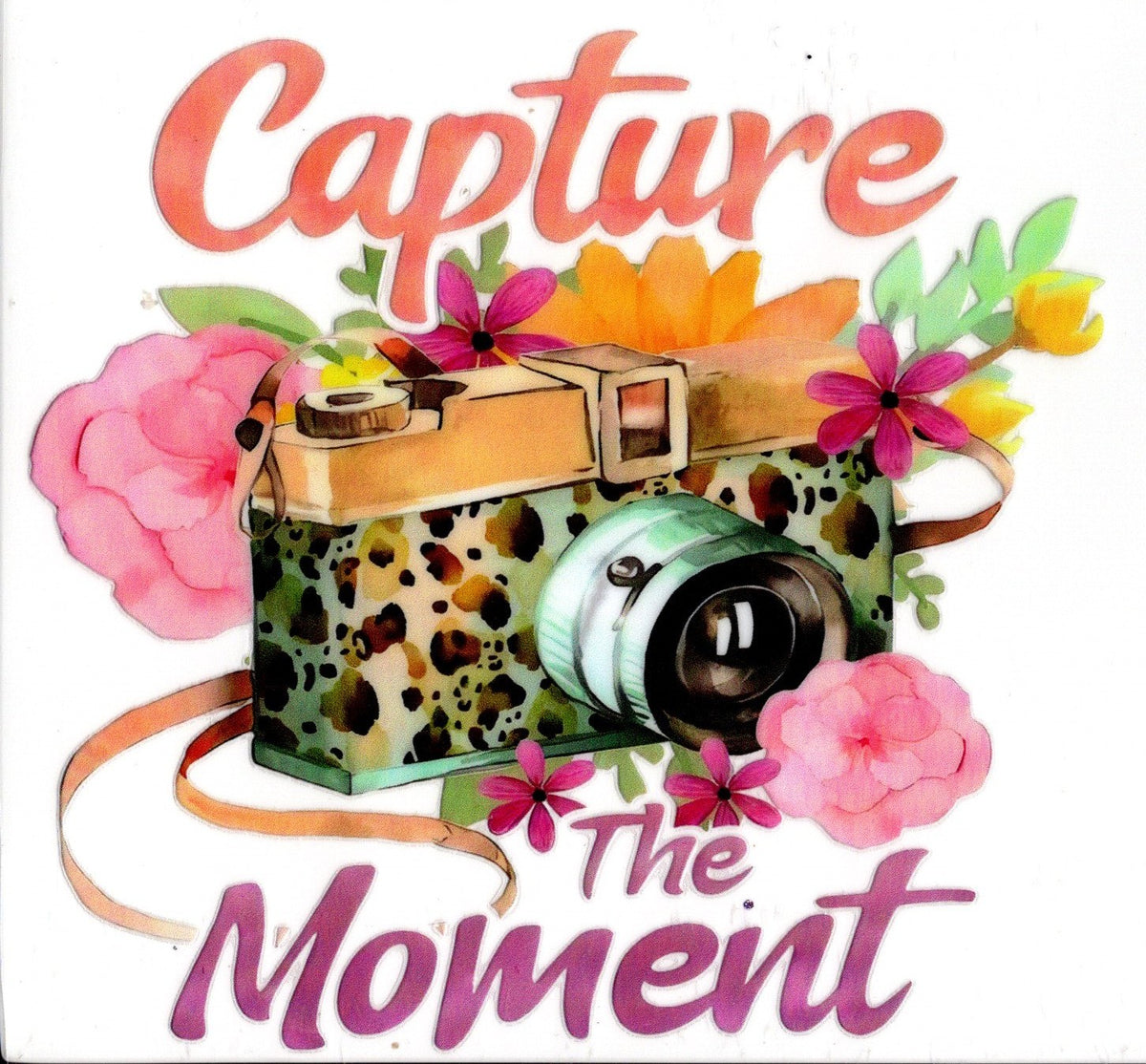 Capture The Moment ~ Quote