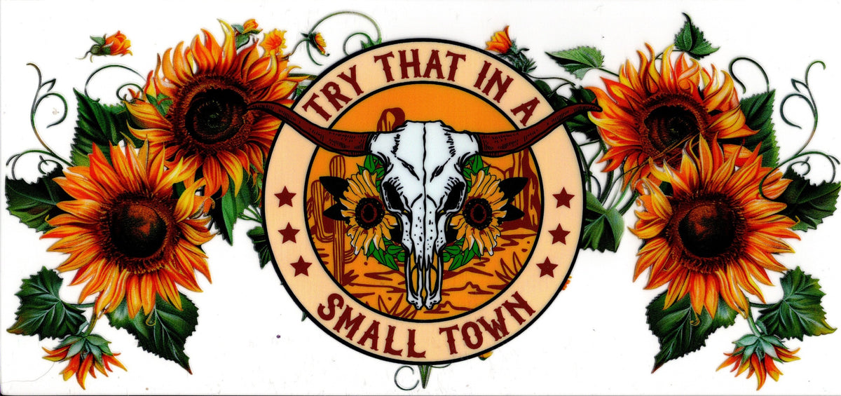 Try That In A Small Town