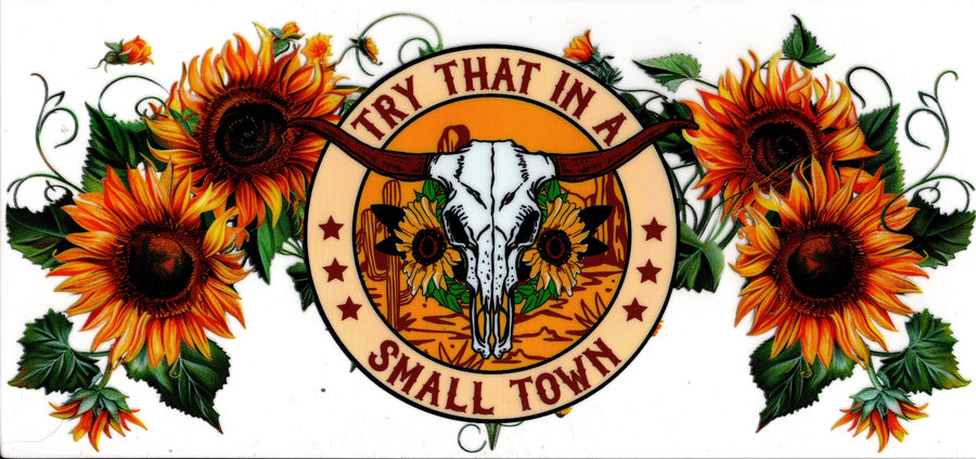 Try That In A Small Town