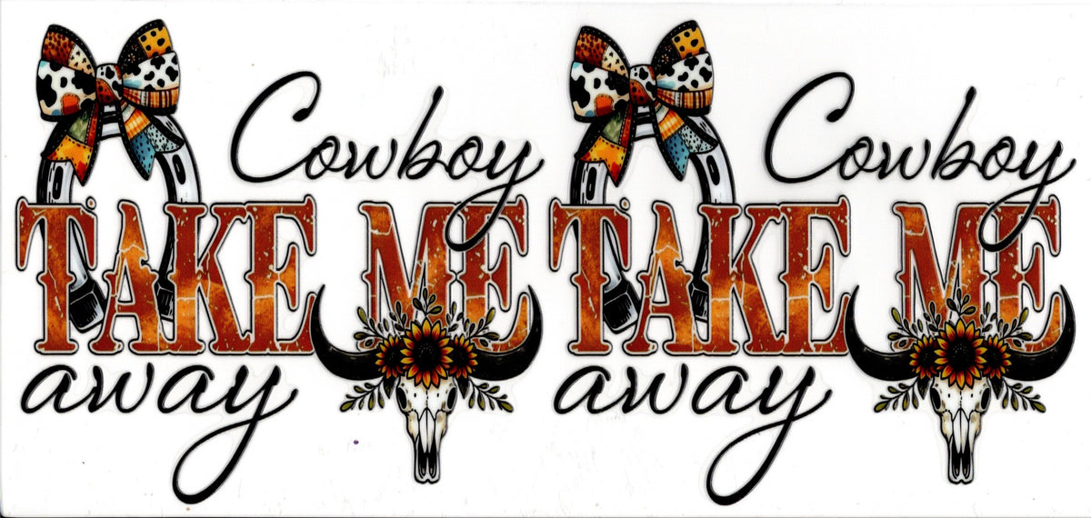 Cowboy Take Me Away