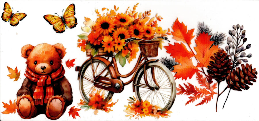 Bicycle Fall Scene