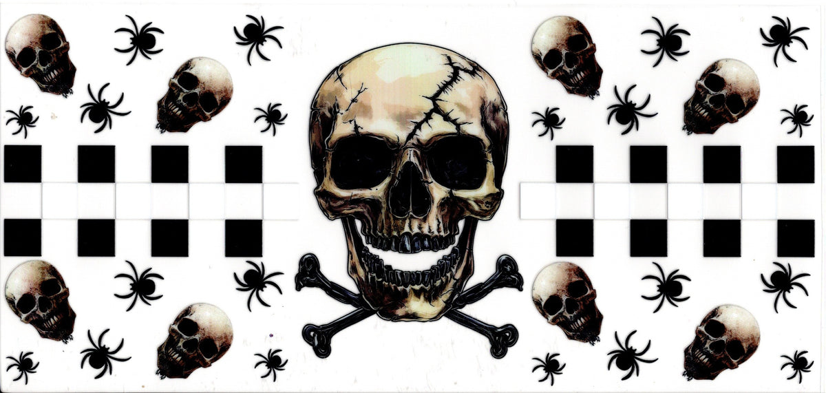 Skull, Bones and Spiders