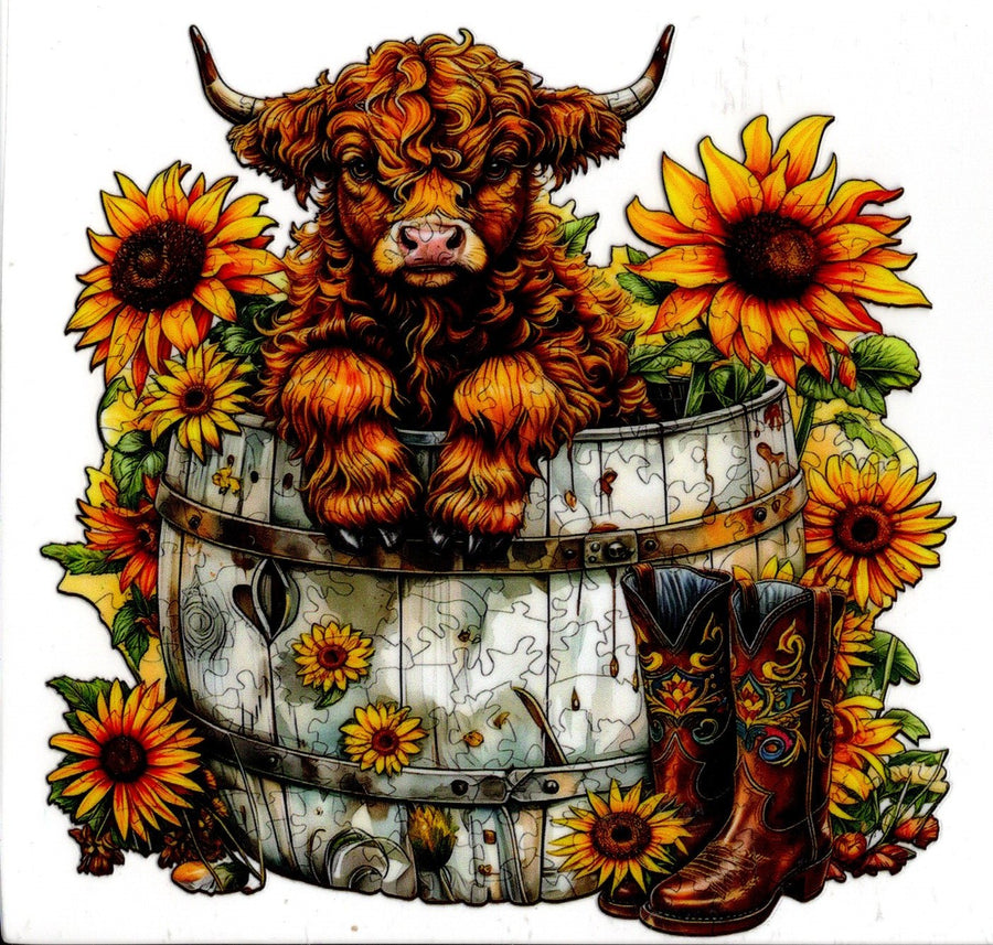 Highland Cow In Barrel with Sunflowers and Boots