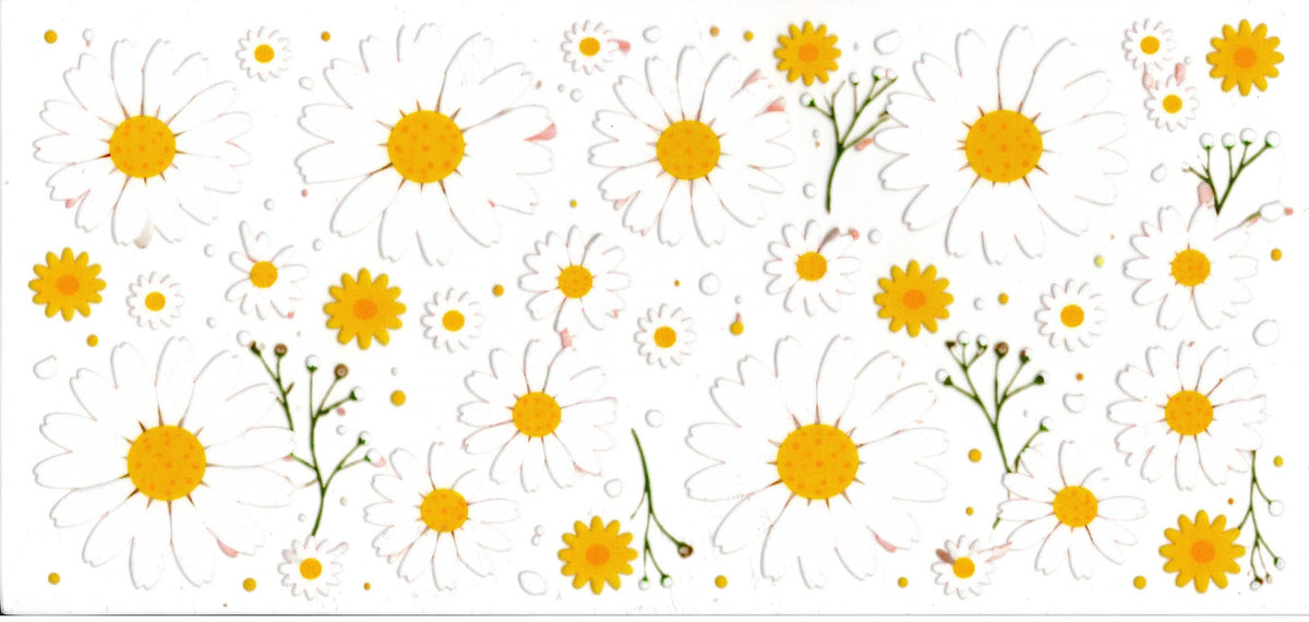 Daisies