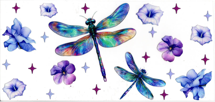 Colorful Dragonfly