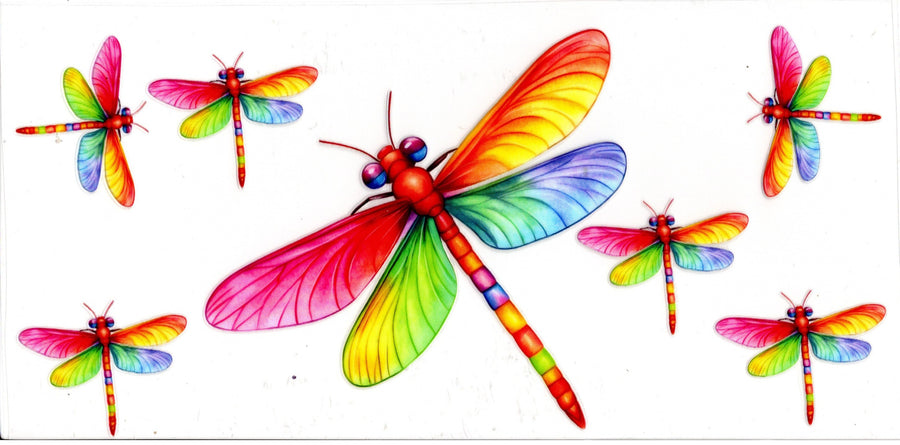 Rainbow Color Dragonflies