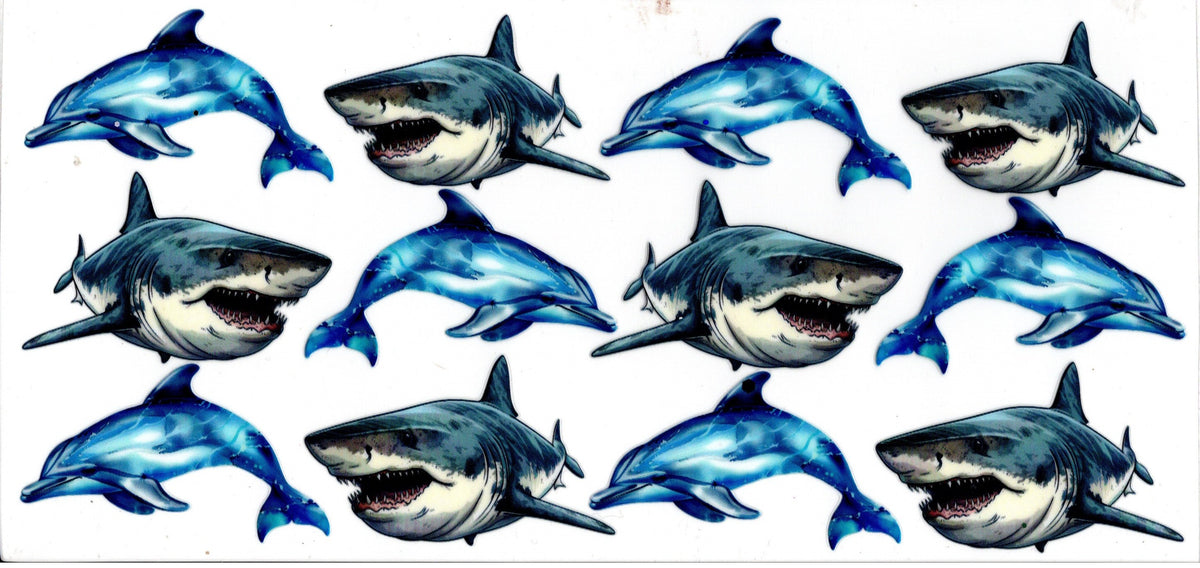 Sharks and Dolphins