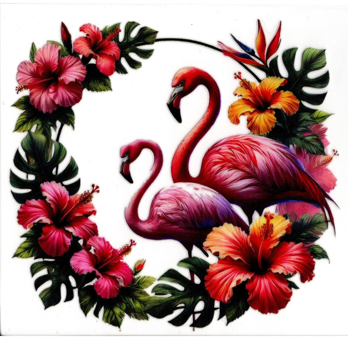 Flamingos and Flowers