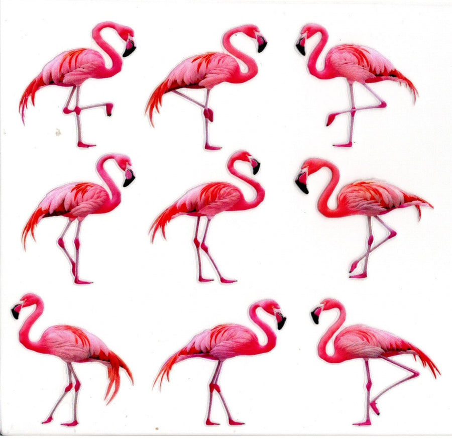 Flamingo Stance