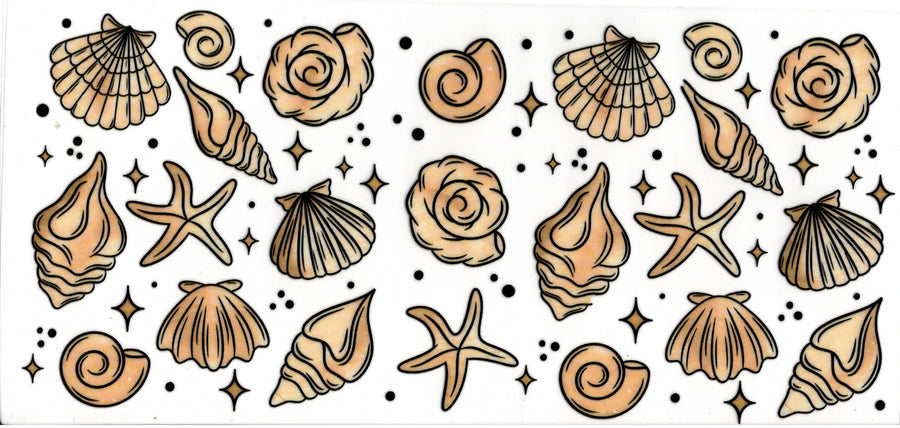 Beige Seashells